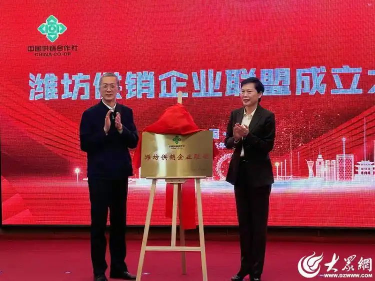高密市高供商贸有限公司获潍坊供销企业家联盟副理事长单位 开启乡村振兴新征程